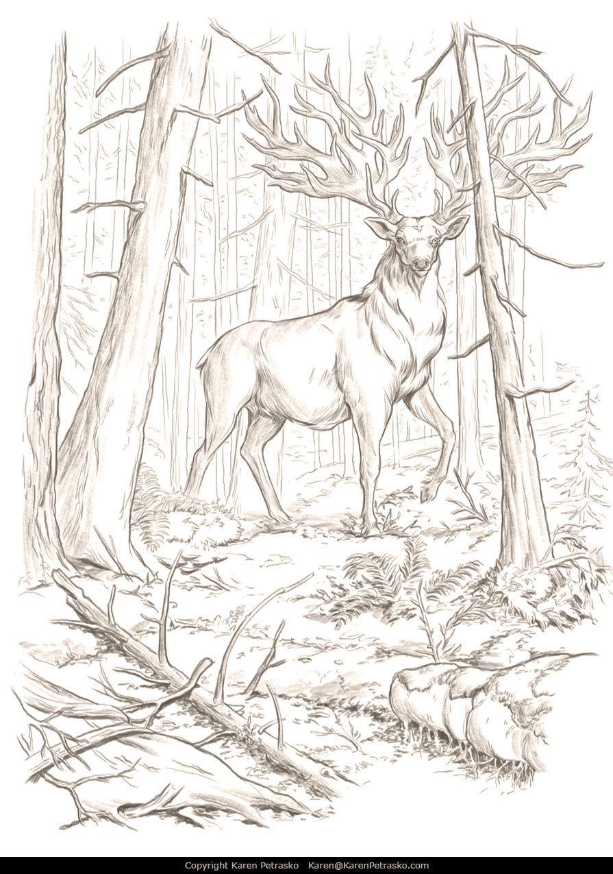 A sketch of a mystical stag in a boreal forest with ferns and evergreen trees for Dangerous Destinations RPG Book